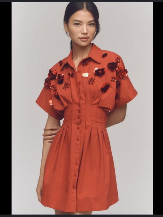 Anthropologie Dresses & Skirts - The Tobie Button Front Pleated shirt dress by exquise sequin mini edition